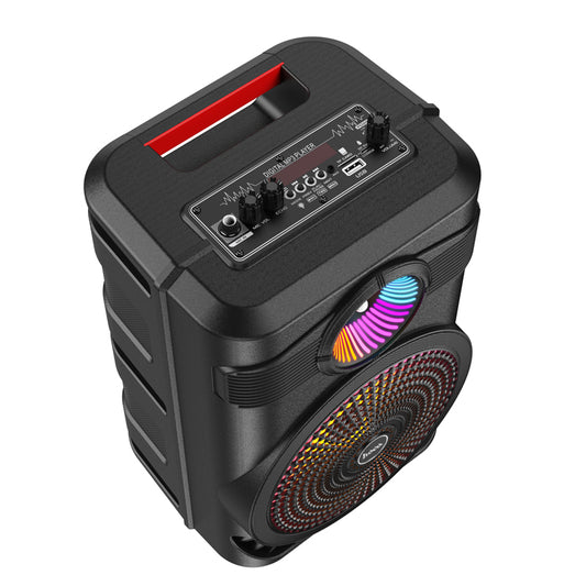 BS46 Mature outdoor BT speaker-Black