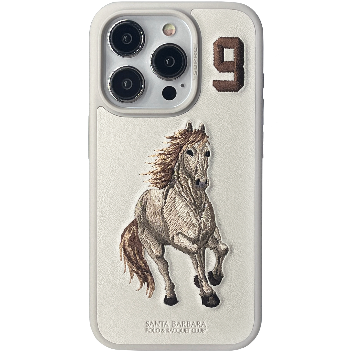 Boris iPhone 15 Pro Max Titanium Gray