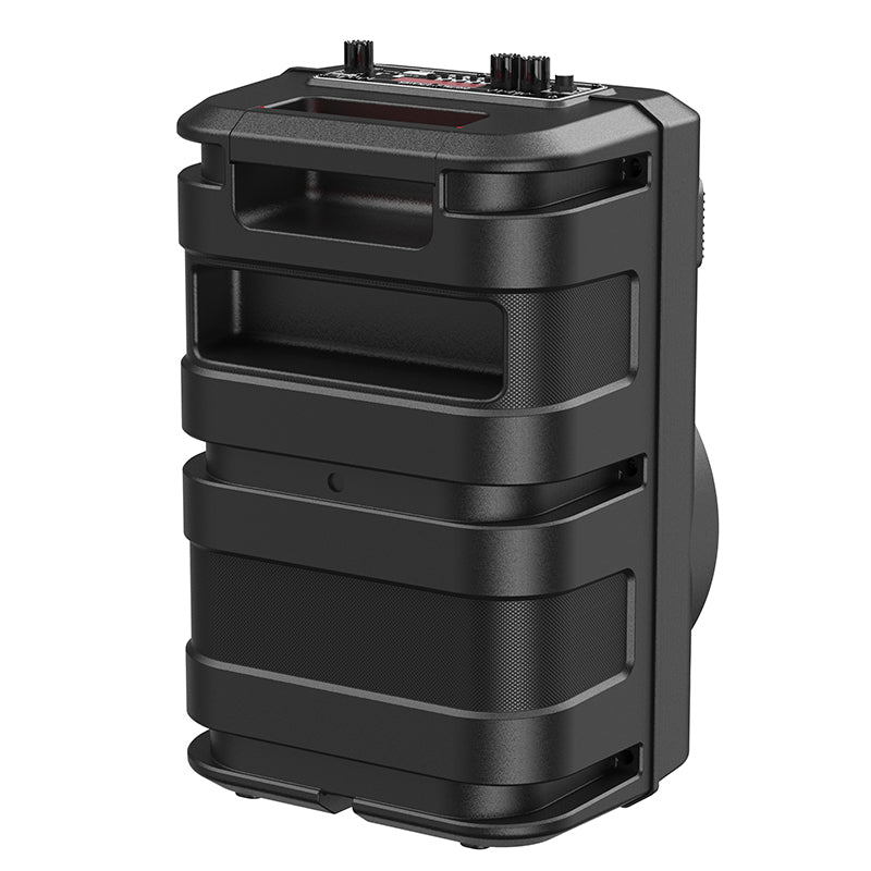 BS46 Mature outdoor BT speaker-Black