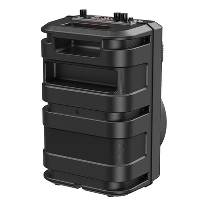 BS46 Mature outdoor BT speaker-Black